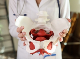 Anatomia mięśni dna miednicy